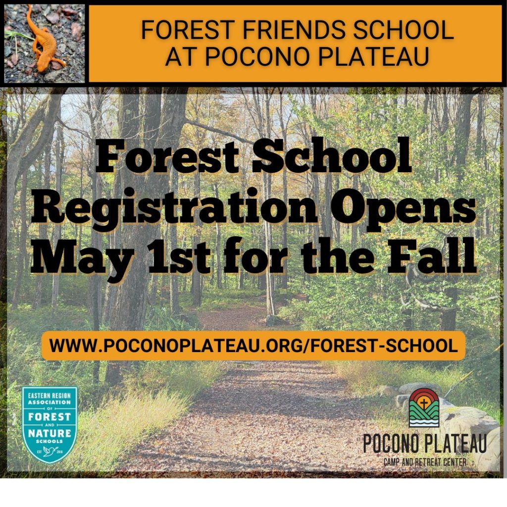 Pocono Plateau: Forest School Registration